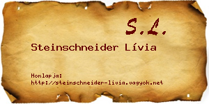 Steinschneider Lívia névjegykártya